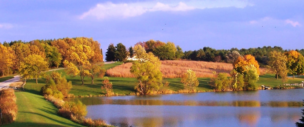 Autumn-colored trees along a lake share